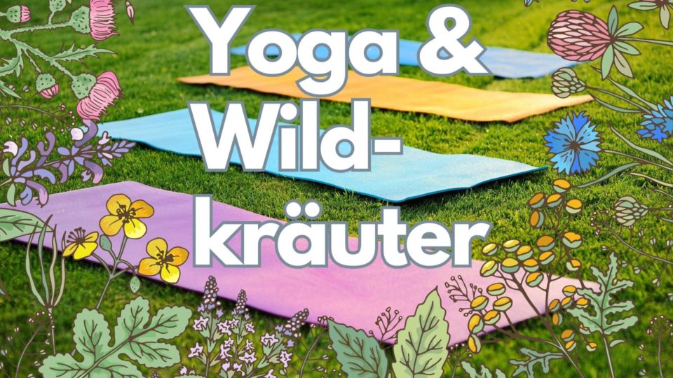 Yoga und essbare Wildpflanzen Retreat Deutschland